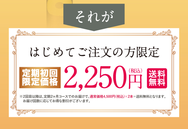 はじめてご注文の方限定2250円送料無料