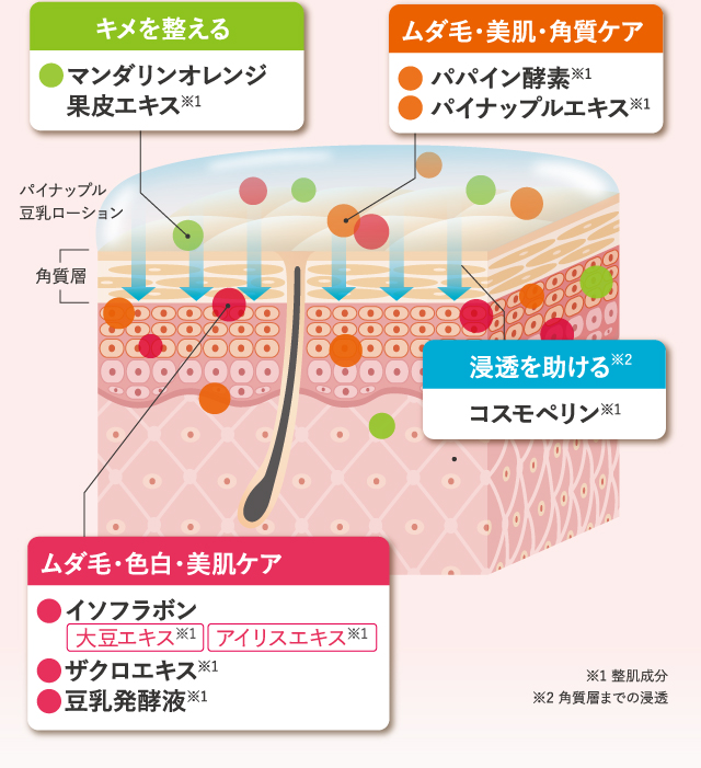 キメを整える ムダ毛・美肌・角質ケア ムダ毛・色白・美肌ケア 浸透を助ける