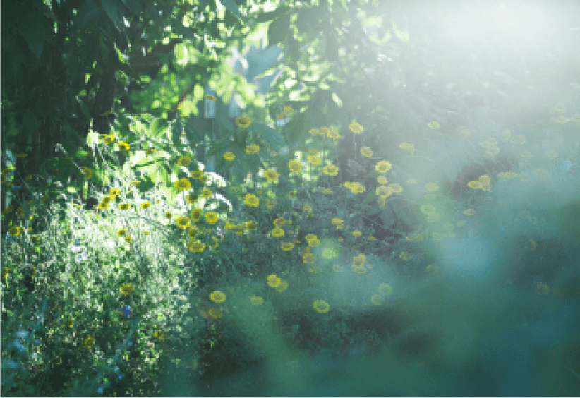 sc03_img02