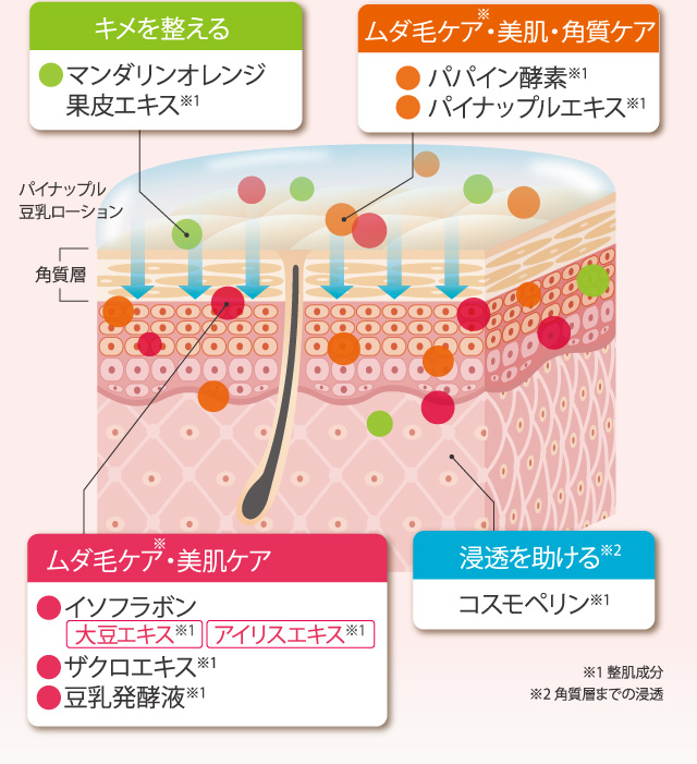 キメを整える ムダ毛・美肌・角質ケア ムダ毛・色白・美肌ケア 浸透を助ける