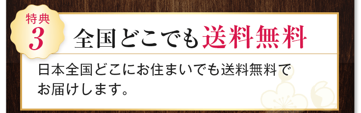 全国どこでも送料無料