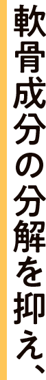 軟骨成分の分解を抑え、