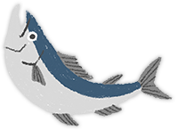 北海道産サケ