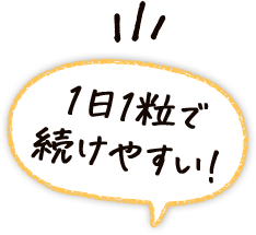 1日1粒で続けやすい