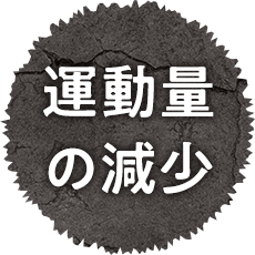 運動量の減少