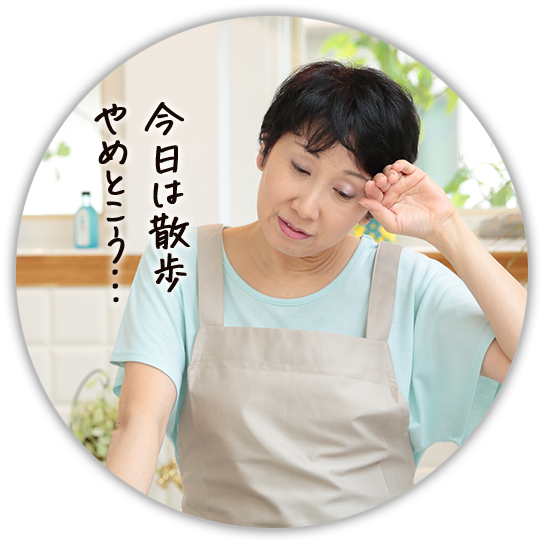 今日は散歩やめとこう…