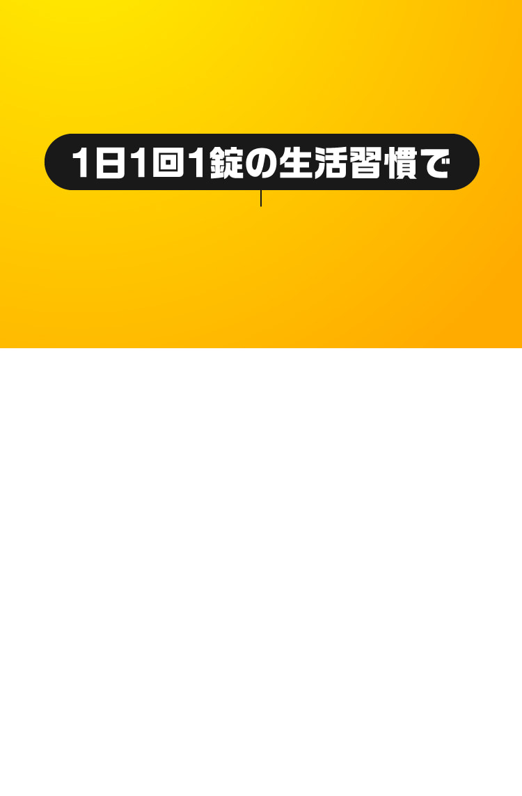 1日1回1錠の生活習慣で
