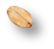 粒