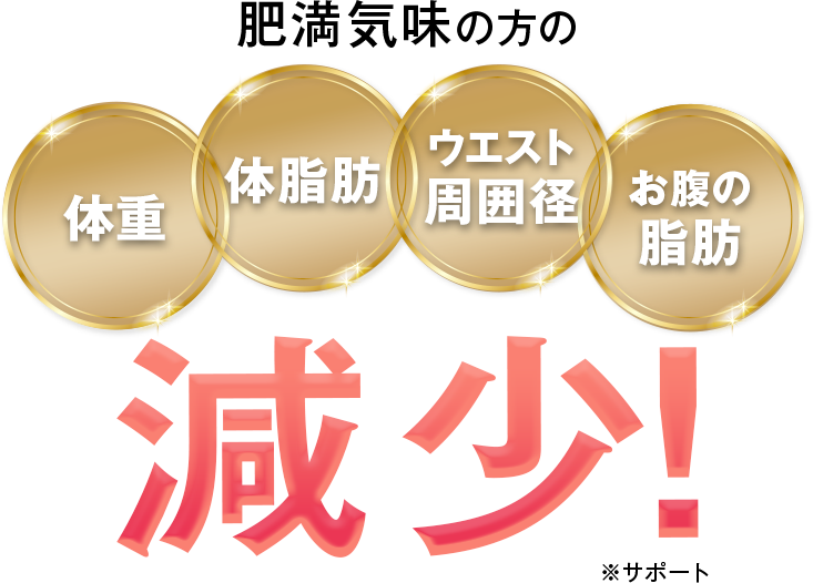 肥満気味の方の体重・体脂肪・ウエスト周囲径・お腹の脂肪減少!