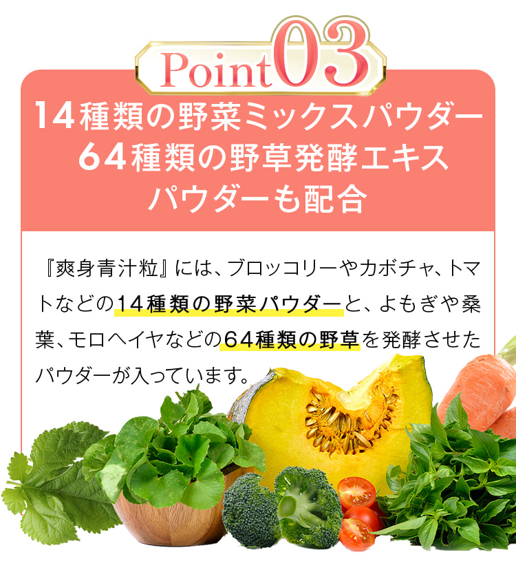 14種類の野菜ミックスパウダー 64種類の野草発酵エキスパウダーも配合