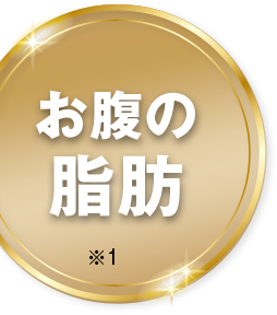 お腹の脂肪