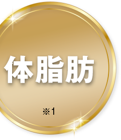体脂肪