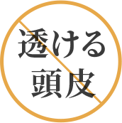透ける頭皮