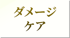 ダメージケア