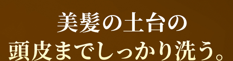 美髪の土台の頭皮までしっかり洗う