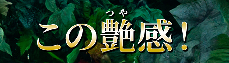 この艶感！