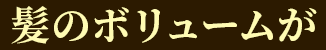 髪のボリュームが