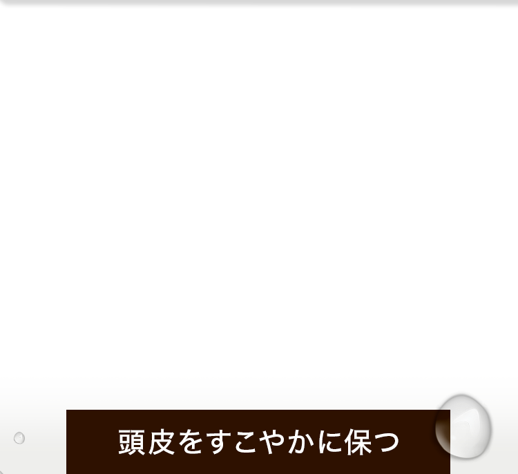 頭皮をすこやかに保つ