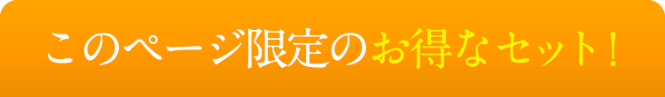 このページ限定のお得なセット！