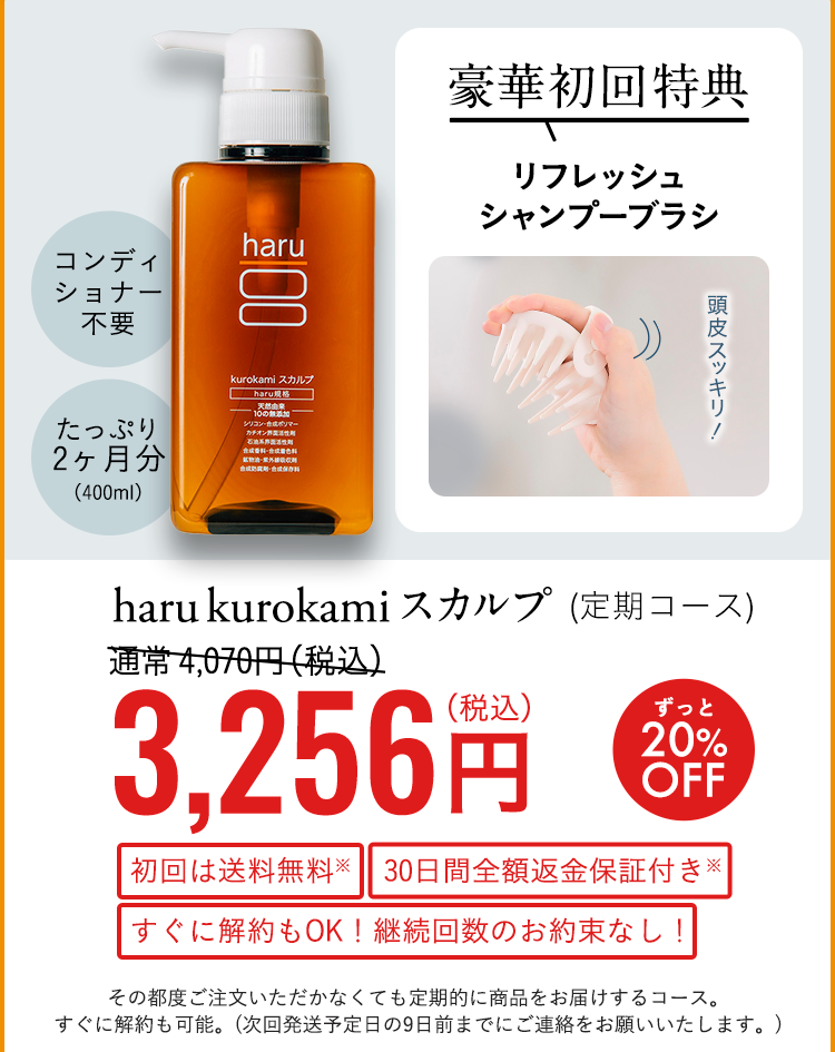 豪華初回特典