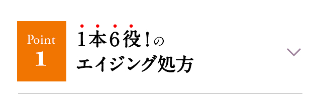 １本６役！エイジング処方