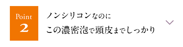 ノンシリコンなのにこの濃密泡で頭皮までしっかり