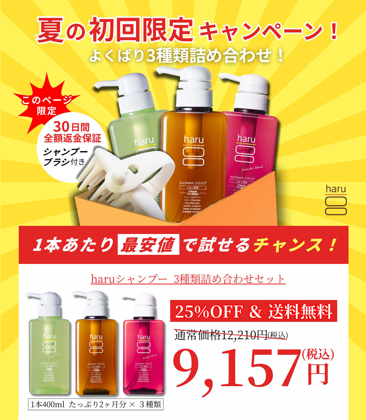 夏の初回限定キャンペーン！よくばり3種類詰め合わせ！