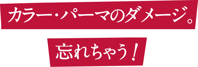 カラー・パーマのダメージ。忘れちゃう！