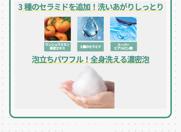 3種のセラミドを追加！洗いあがりしっとり 泡立ちパワフル！全身洗える濃密泡