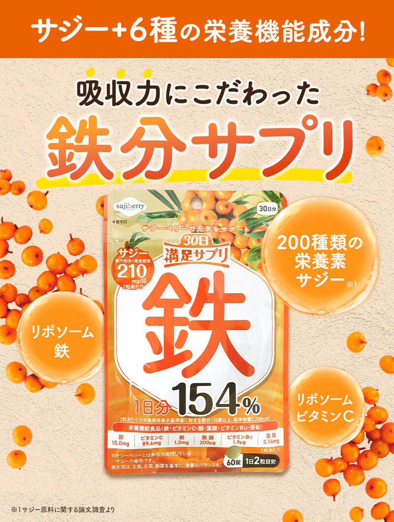 吸収力にこだわった鉄分サプリ