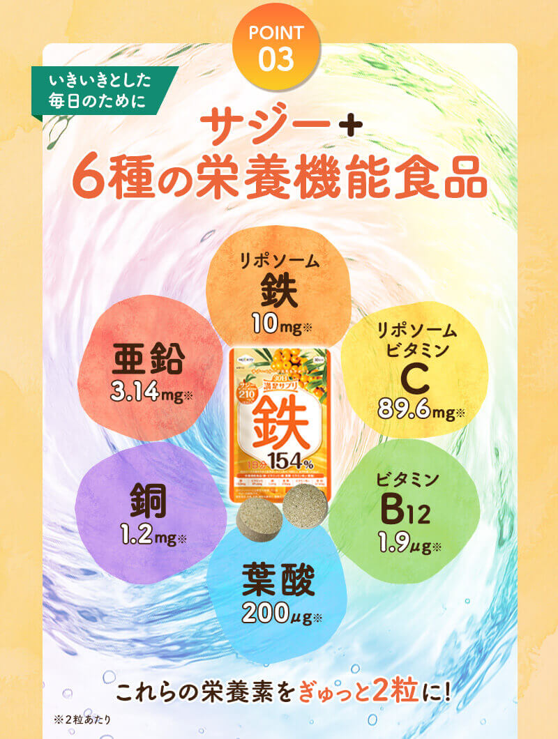 6種の栄養機能食品