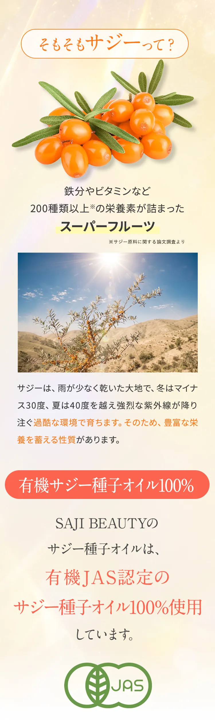 そもそもサジーって