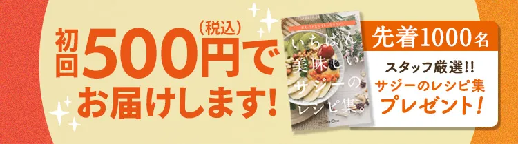 先着1000名レシピ本付き