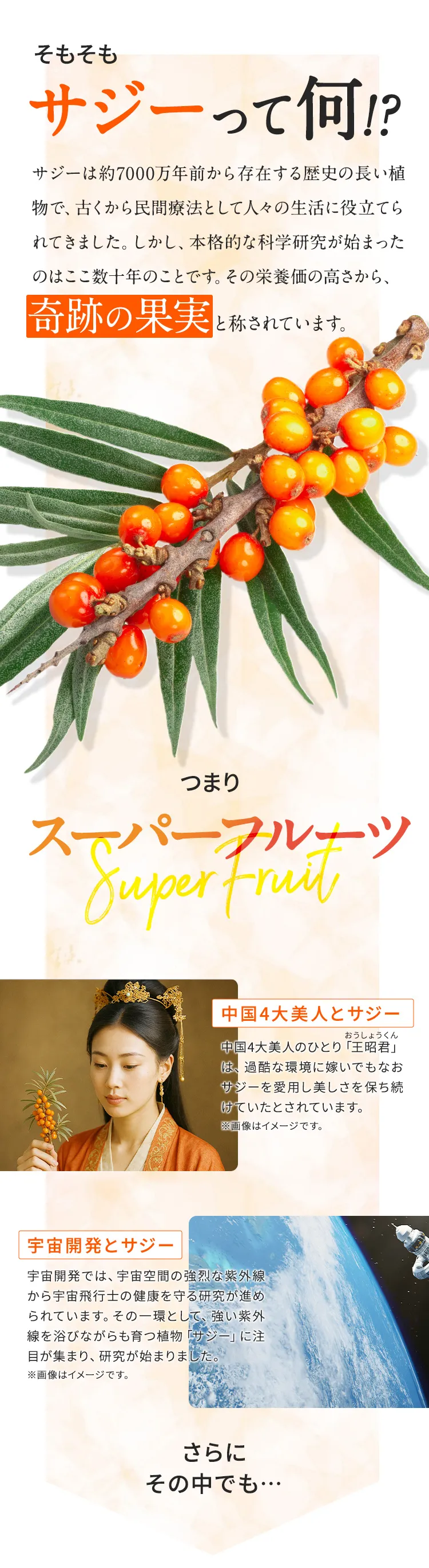 SajiOne 柑橘ブレンドカラダに嬉しい理由