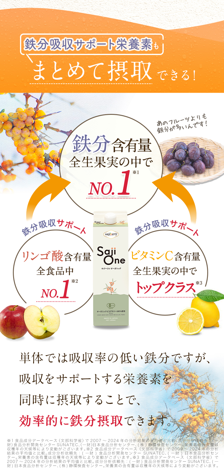 鉄分吸収サポート成分もまとめて摂取