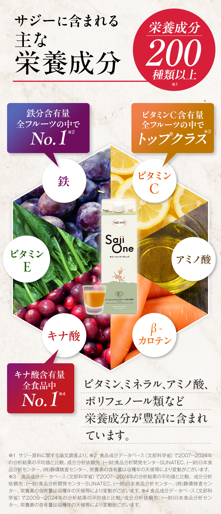 無添加サジー鉄分補給で元気な毎日!