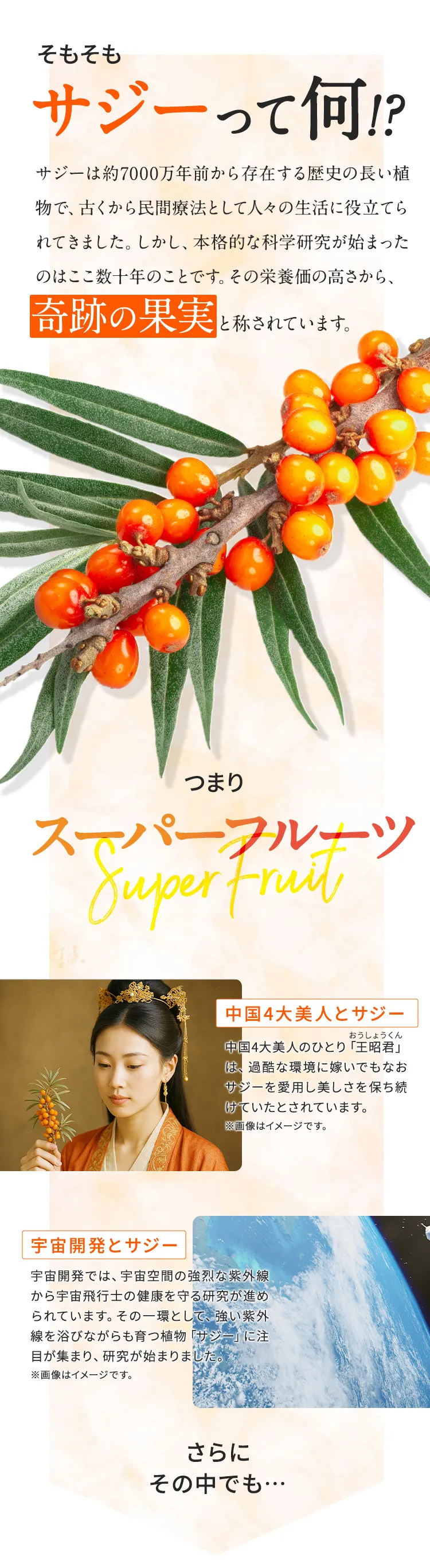 SajiOneオーガニックサジーについて