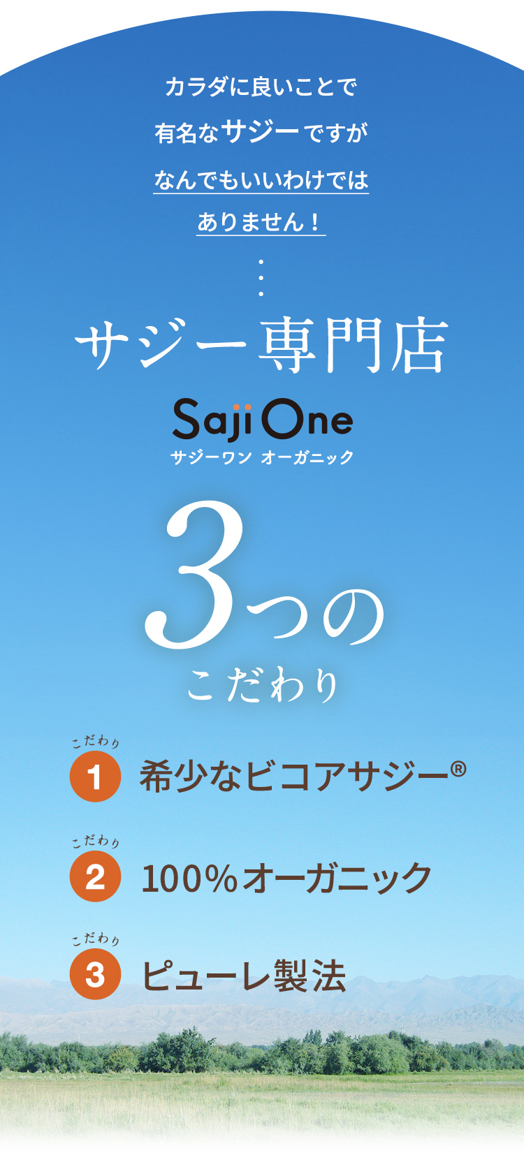 サジー専門店3つのこだわり