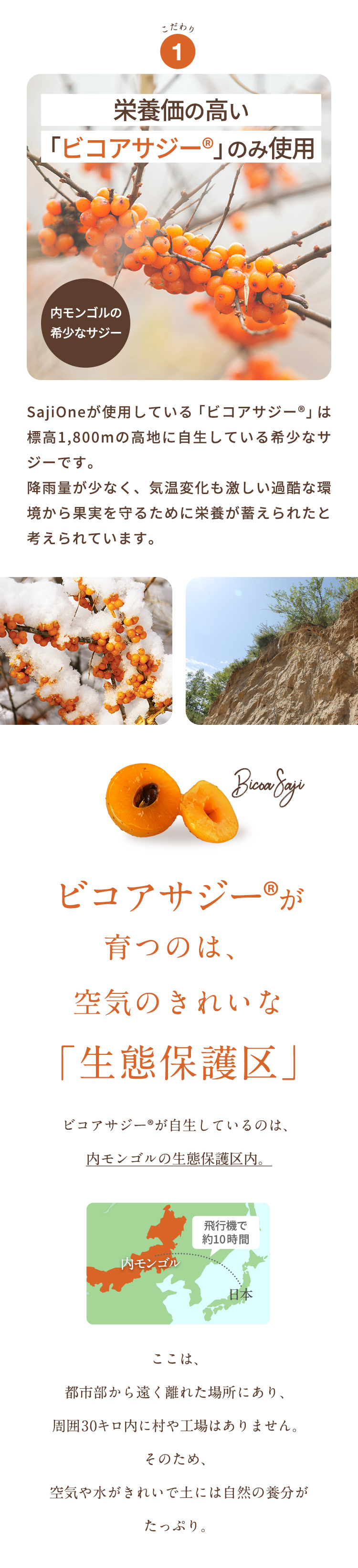 栄養価の高いビコアサジーのみ使用