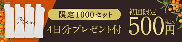 4日分プレゼント付き