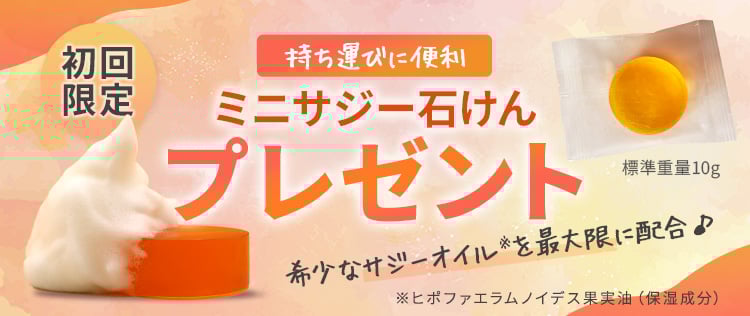 ミニサジー石けん付き