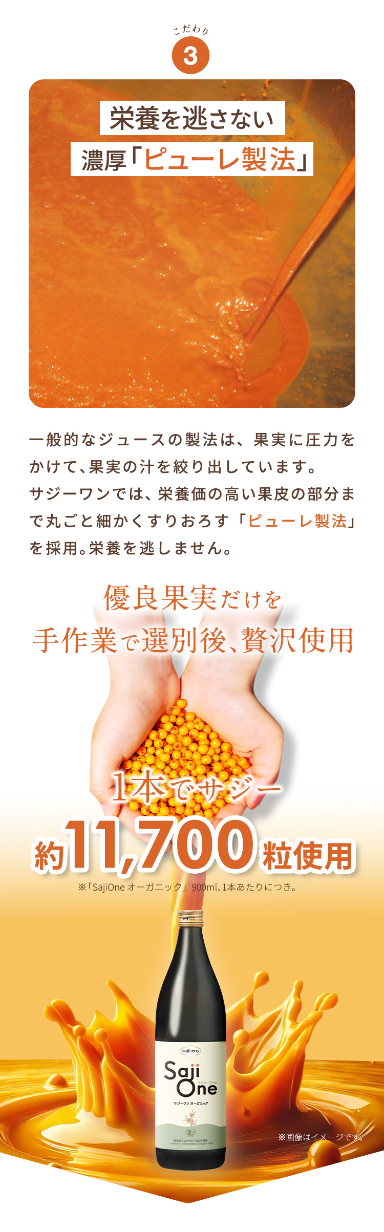 栄養を逃さない濃厚ピューレ製法
