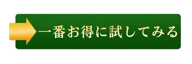 一番お得に試してみる