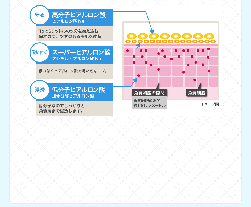 イメージ図