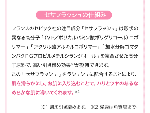 セサフラッシュの仕組み