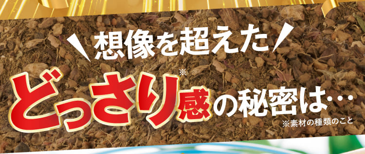 想像を超えたどっさり感の秘密は…