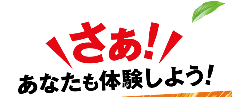 さぁ！あなたも体験しよう！
