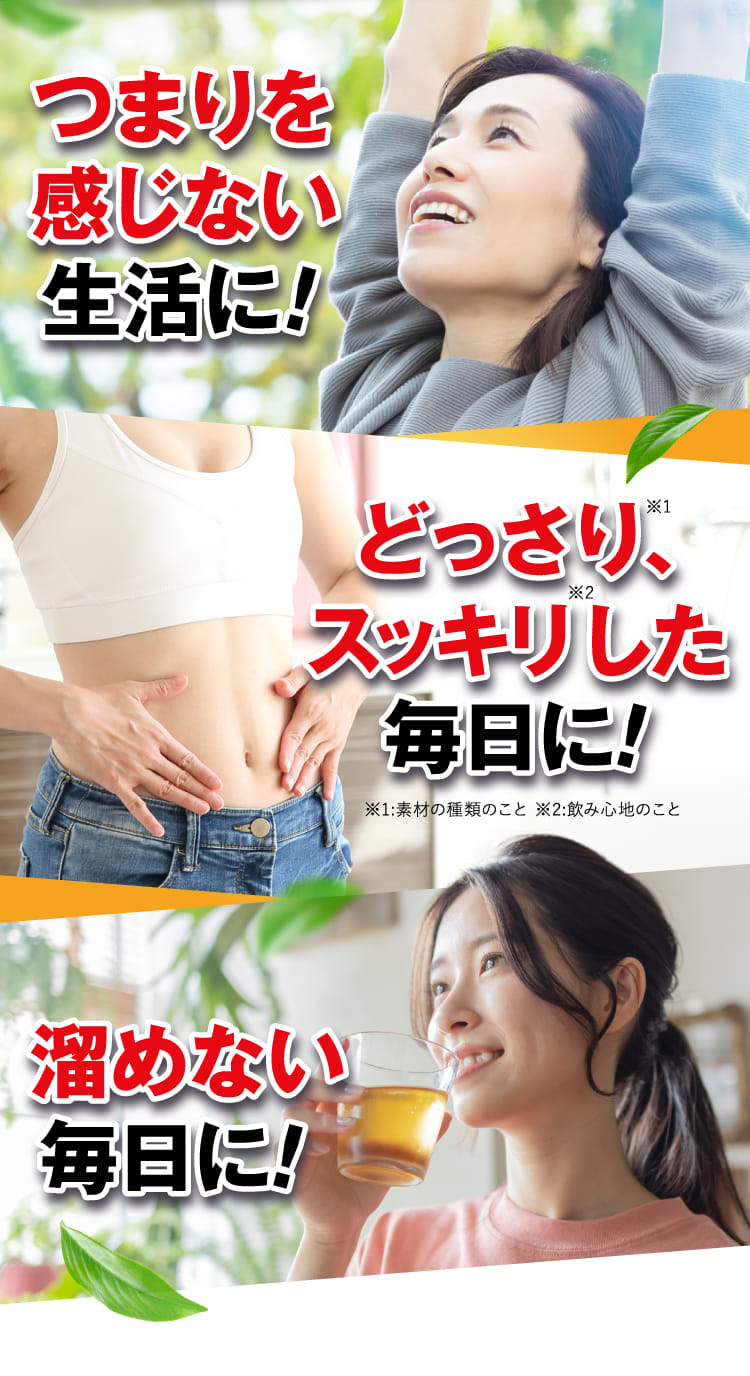 つまりを感じない生活に！ どっさり、スッキリした毎日に！ 溜めない毎日に！