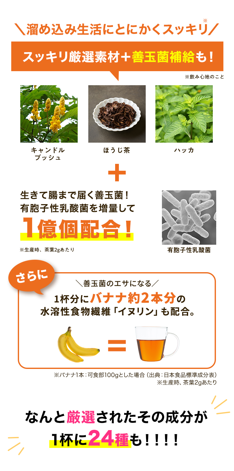 なんと厳選されたその成分が1杯に24種も！！！！