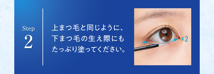 Step 2 上まつ毛と同じように、下まつ毛の生え際にも たっぷり塗ってください。